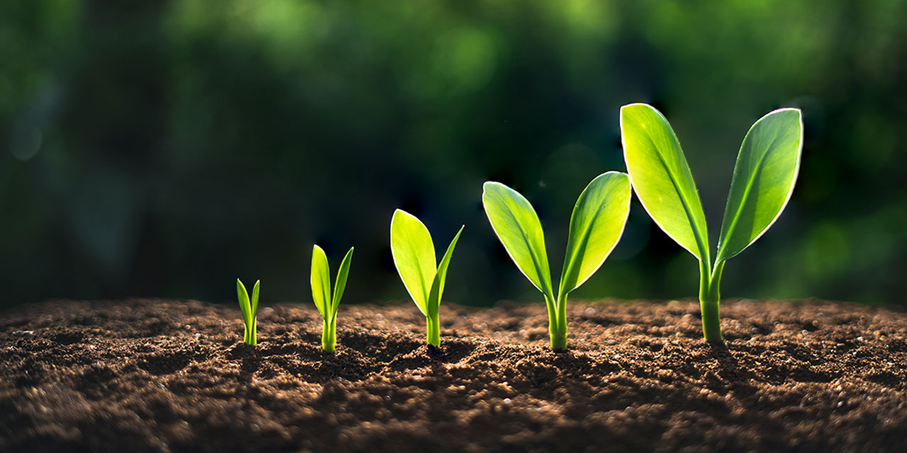 economic growth is still our best hope